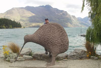 Endlich ein echter Kiwi